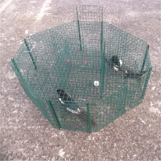 Tycoon Cage made of Metal 100x100x30cm 1pcs