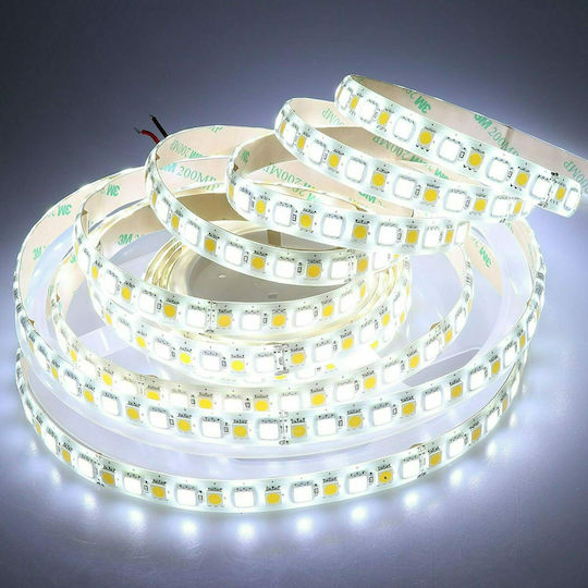 Waterproof LED Strip 24V Adjustable White Light 5m