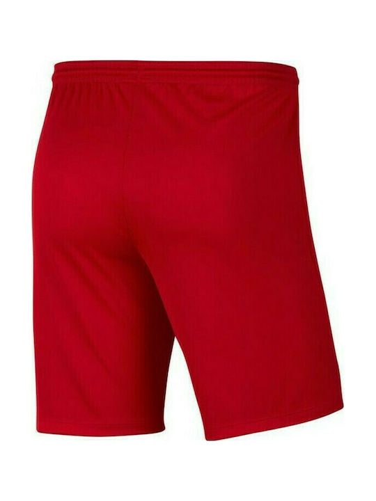 Nike Kids Athletic Shorts/Bermuda Park III Knit Red