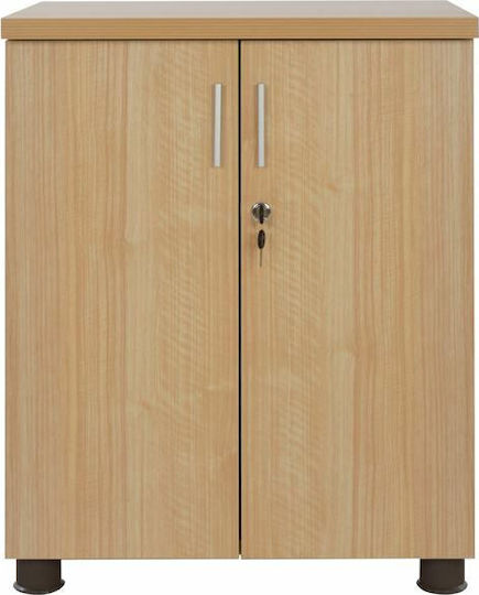 Büroaufbewahrungsschrank 60x46x75cm