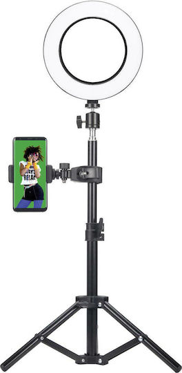 EasyPix MyStudio Studio Kit for Creators Beleuchtungsset für Studio