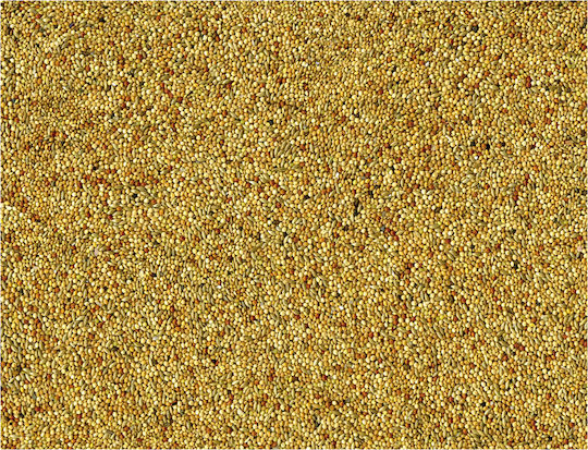 Vadigran Tropical Finches Τροφή για Καναρίνια 1kg