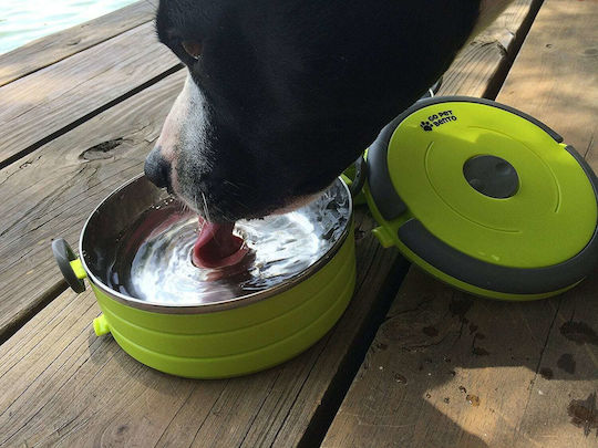 Healthy Human On The Go Pet Bento Edelstahl Schalen Futter & Wasser für Hund & Katze 450ml in Grün Farbe 3Stück
