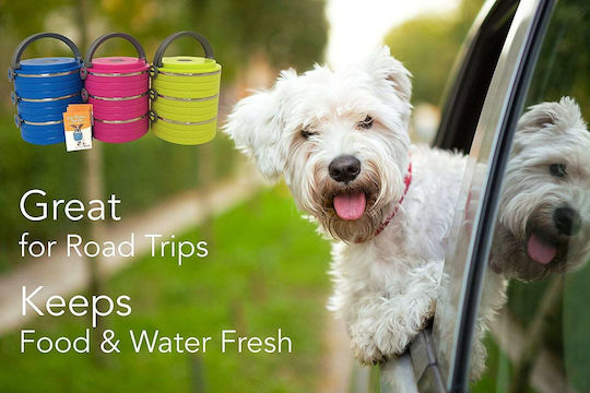 Healthy Human On The Go Pet Bento Edelstahl Schalen Futter & Wasser für Hund & Katze 450ml in Fuchsia Farbe 3Stück