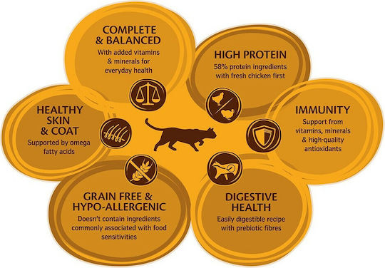 Wellness Core Grain Free Sterilised Dry Food Grain-Free & Gluten-Free for Adult Sterilized Cats with Chicken / Turkey 0.3kg
