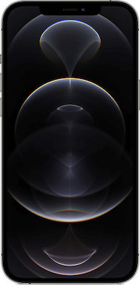 Apple iPhone 12 Pro Max 5G (6GB/256GB) Graphite | Skroutz Romania