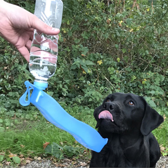 Pawise Kunststoff Flasche Wasser für Hund & Katze 500ml in Hellblau Farbe