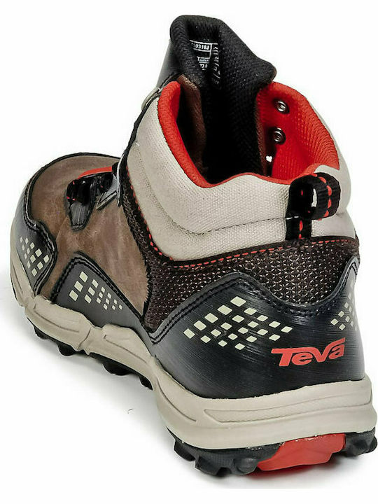 Teva