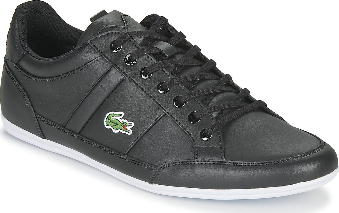 lacoste chaymon tan