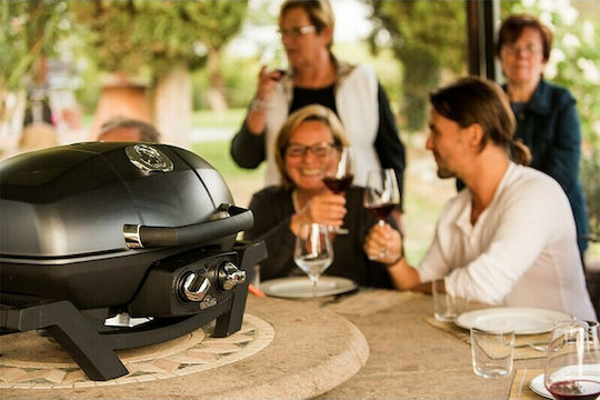 Napoleon TravelQ Portable Gas Grill with 2 pcs 4.1kW