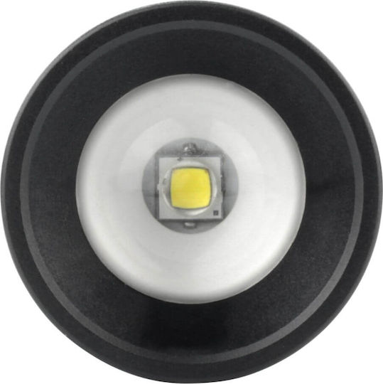 Ansmann LED IP54 с Максимална Яркост 75лм M250F Черен