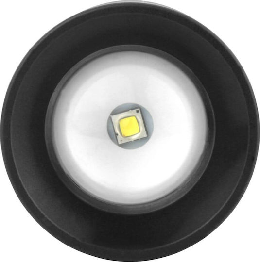 Ansmann Taschenlampe LED IP54 mit maximaler Helligkeit 320lm M350F Schwarz