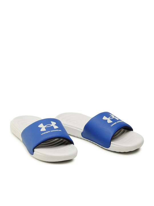 Ansa Fix Men's Slides Halo Gray / Royal