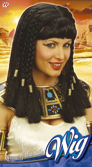 Carnival Wig Straight Brunette