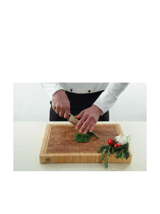 Zwilling J.A. Henckels Professional S Knife Chef from Stainless Steel 26cm