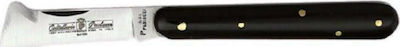 Paolucci Coltellerie 190 Budding Knife 19cm