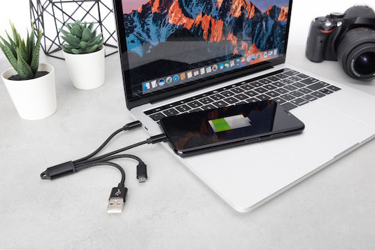 Digitus Keychain USB to Lightning / Type-C / micro USB Cable 2A Μαύρο 0.15m DB-300160-002-S