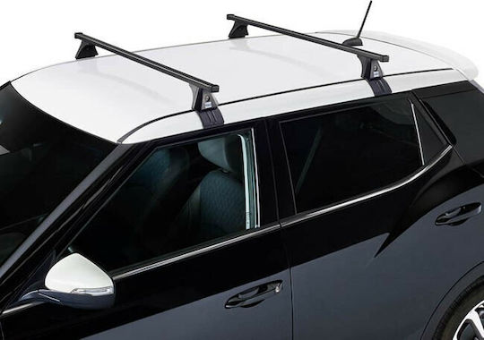 Auto Gs S-FIX 110 Universell (mit Dachträgerfüßen)
