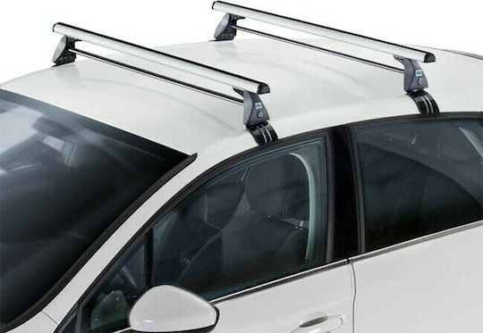 Auto Gs (with Roof Rack Legs)