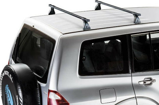 Auto Gs (with Roof Rack Legs)