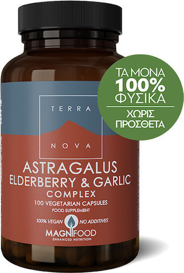 TerraNova Astragalus Elderberry & Garlic Supplement for Immune Support 100 veg. caps