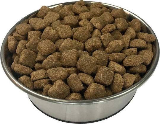 Premium Maxi Adult Essence 15kg Dry Food for Adult Large Breed Dogs with Beef and Chicken
