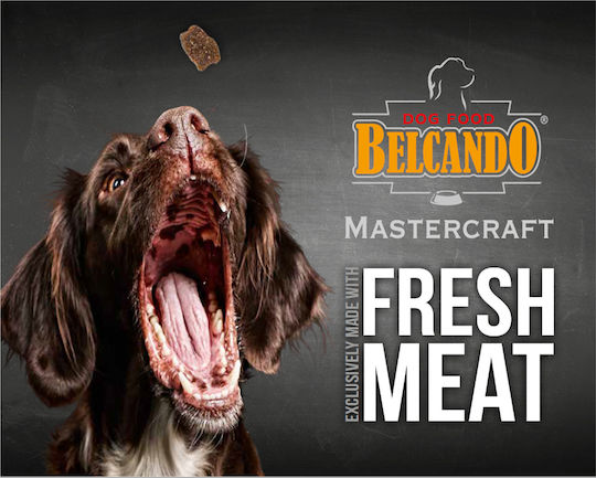 Belcando Mastercraft Fresh Lamb 2.2kg Ξηρά Τροφή Σκύλων χωρίς Σιτηρά με Αρνί