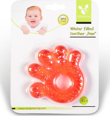 Cangaroo Πατούσα Teething Ring with Water made of Silicone for 3 m+ 1pcs