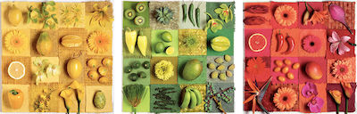 Exotic Fruits & Flowers Puzzle 2D 500 Pieces