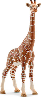 Schleich-S Miniatur-Spielzeug Wild Life Giraffe Male für 3+ Jahre