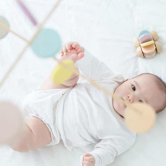 Plan Toys Entlang schieben Baby-Auto aus Holz für 0++ Monate