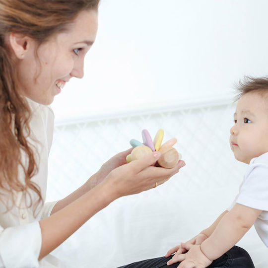 Plan Toys Entlang schieben Baby-Auto aus Holz für 0++ Monate