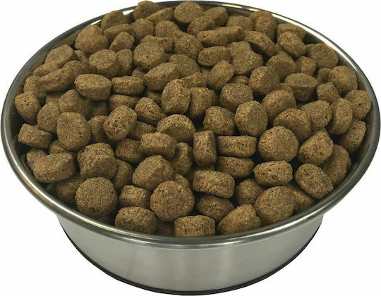 Premium Adult Essence 15kg Dry Food for Adult Dogs with Beef
