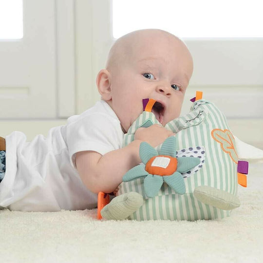 Dolce Animal Activity Owl made of Fabric with Sounds for 0++ Months