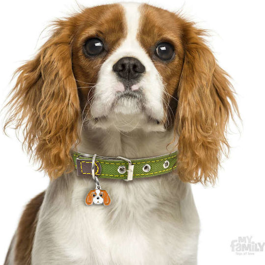 My Family Friends Cavalier King Hunde-Identifikationsmarke Orange Metall Personalisierung