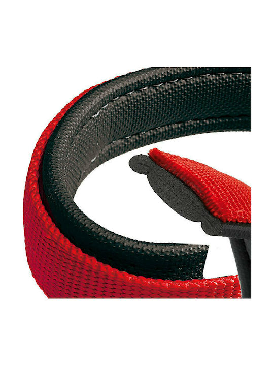 Ferplast Daytona Hundehalsband in Rot Farbe Halsband C 40/63