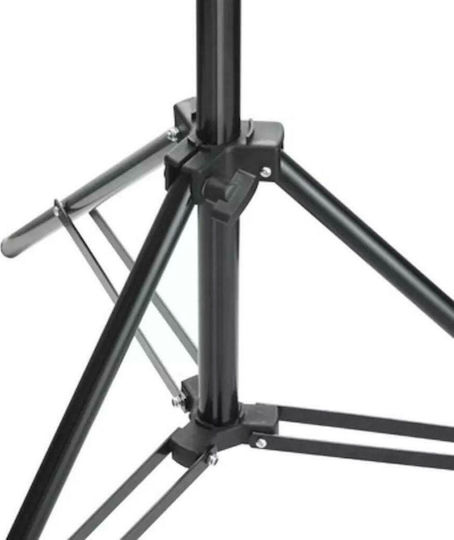 vidaXL Telescopic Support Base for Photographic Background Stand for Studio 300cm