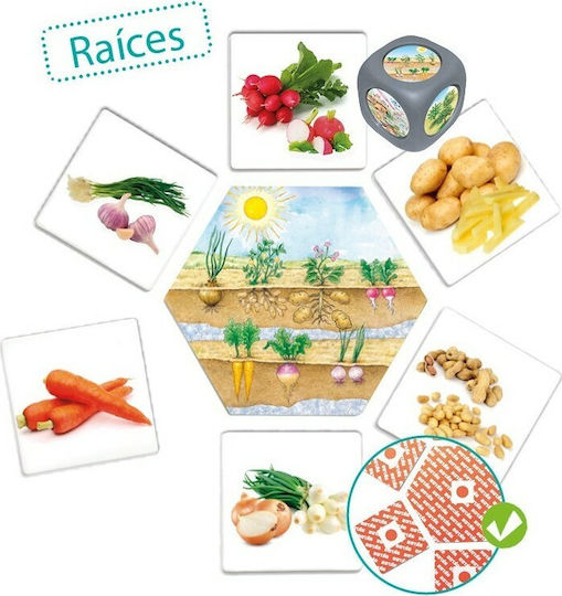 Akros Where Does Food Come From? Εκπαιδευτικό Παιχνίδι Γνώσεων για 3-6 Ετών