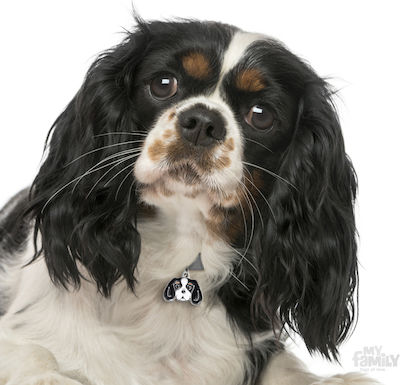 My Family Friends Cavalier King Dog ID Tag Black