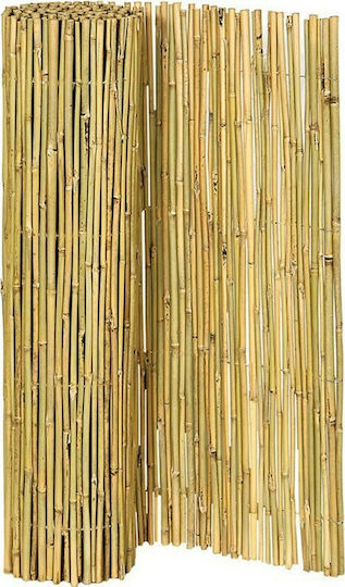 Lianos Каламоти с Целият Рийд 2x3m
