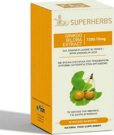 John Noa Ginkgo Biloba 6000 120mg 30 κάψουλες