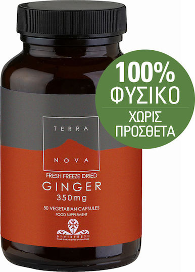 TerraNova Ginger 350mg 50 κάψουλες