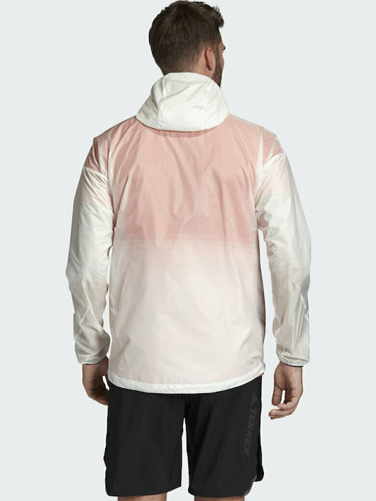 adidas adidas