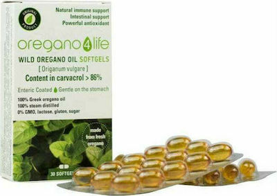 Oregano 4 Life Wild Oregano Oil 30 Softgels