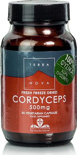 TerraNova Cordyceps 500mg 50 Mützen