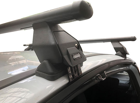 Menabo für Ford B-Max (mit Dachträgerfüßen)