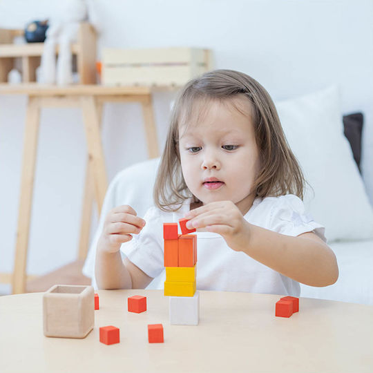 Plan Toys Κλάσματα με Κύβους Εκπαιδευτικό Παιχνίδι Γνώσεων από Ξύλο για 3+ Ετών