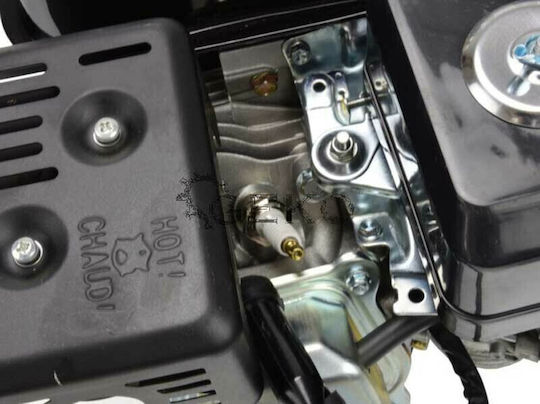 Geko Gasoline Engine 4 Stroke 196cc 6.5hp Maximum Revolutions 3600rpm with Starter