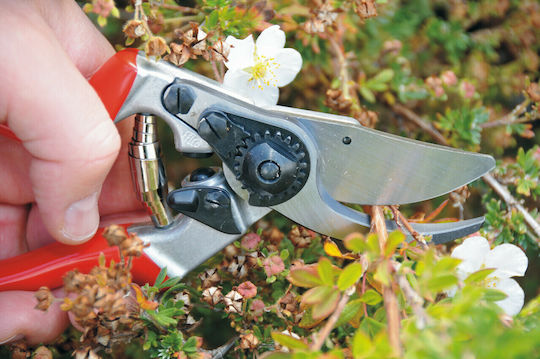 Felco 9 Ψαλίδι Κλαδέματος Μήκους 21cm με Μέγιστη Διάμετρο Κοπής 25mm