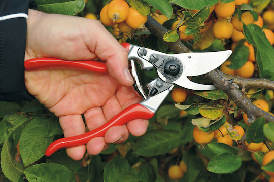 Felco 9 Ψαλίδι Κλαδέματος Μήκους 21cm με Μέγιστη Διάμετρο Κοπής 25mm
